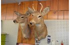 Property photo 13 - PERSONAL PROPERTY AUCTION, Smokeys Landing Inventory & Personal Property